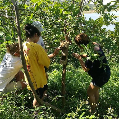 Lavievulinh Ecolodge Vũ Linh 外观 照片